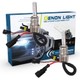 2 x Ampoules BA20D 4300K xénon pour kit HID xénon hid de rechange