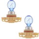 2 x Ampoules BlueVision PSX24W