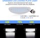 Pack module plaque arrière Renault Clio 2 / Twingo