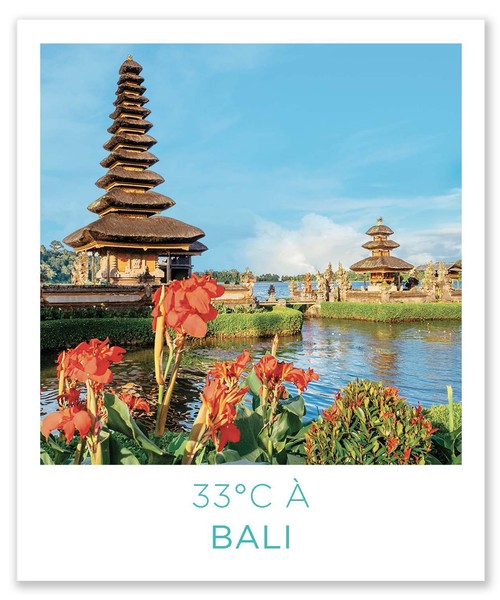 Diffuseur IMAO - 33°C A BALI - parfum voiture