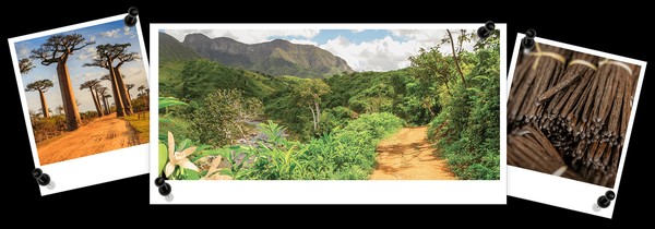Désodorisant spray IMAO Sous le soleil de Madagascar