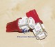 2 x T10 W5W 24V - 5 LEDS SMD ROUGE