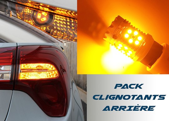 Pack ampoules clignotant arrière LED - RENAULT TRUCKS Magnum