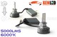 Kit AMPOULES H1 LED Ventilées FF2 - 5000Lms
