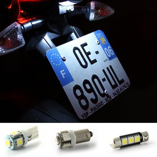 Pack LED plaque immatriculation Thunderbird 1600 - TRIUMPH