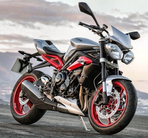 Street Triple 675 R (TTL1266, TTL1366)
