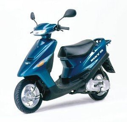 Rexy 25