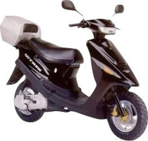 Rexy 50