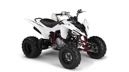 YFM 250 R (AG06W)