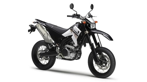 WR 250 X (DG20)