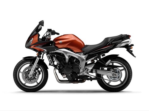FZS 600 S (RJ021)