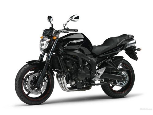 FZS 600N (RJ025)