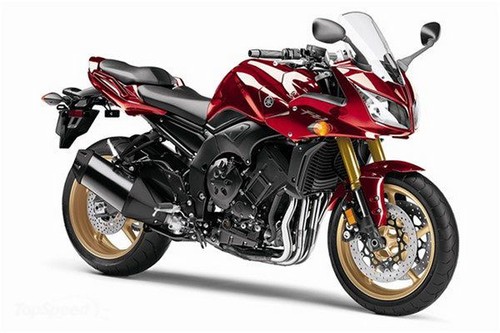 FZS 1000 S (RN068)