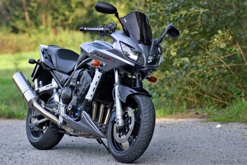 FZS 1000 S (RN066)