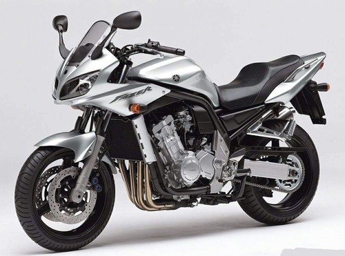 FZS 1000 (RN064)