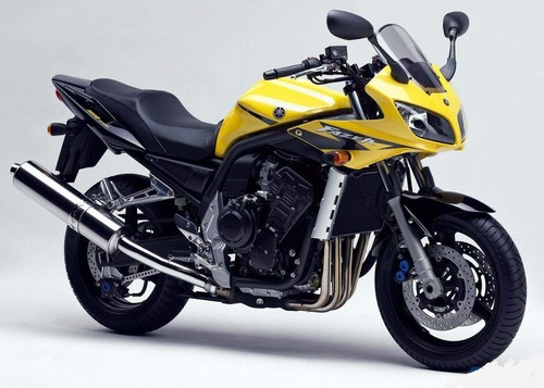 FZS 1000 (RN061)
