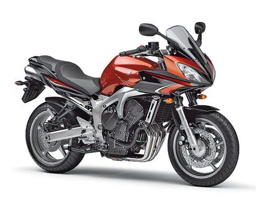 FZ6 600 NAHG (RJ14D)