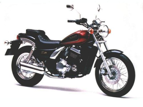 EL 250 E (EL250E)