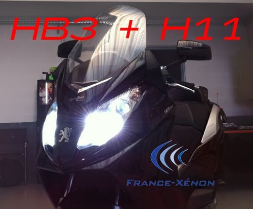  Pack : HB3 + H11