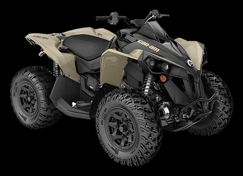 Renegade 650 18 - 21