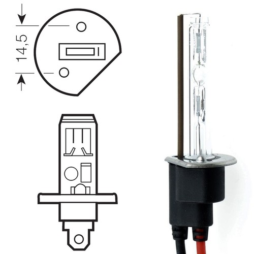 H1 - ksenon 100W