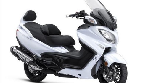 Burgman 650 13 - 21