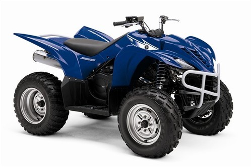 YFM 350 Wolverine 06 - 10
