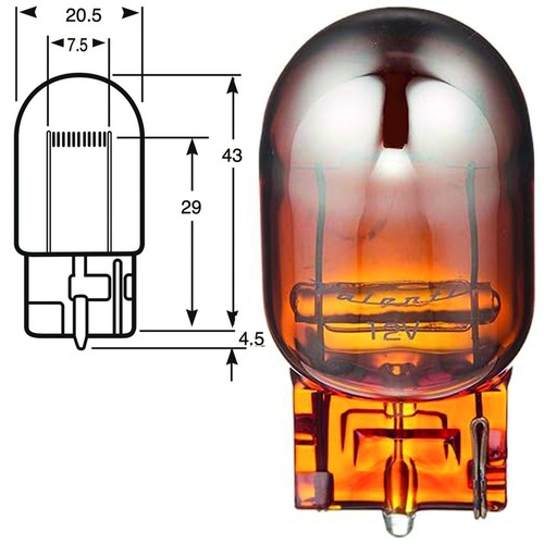 WY21W-T20