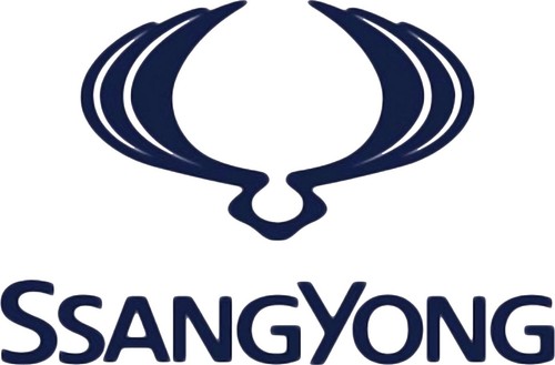 Ssangyong LED paket